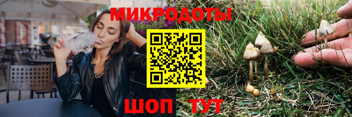 Галлюциногенные грибы Psilocybe Михайловск