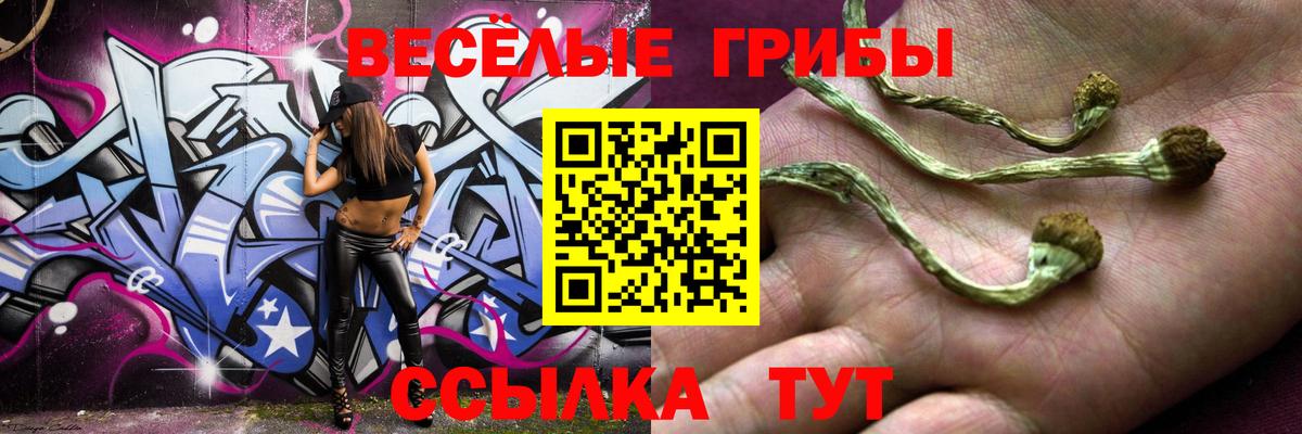 Псилоцибиновые грибы Psilocybine cubensis  Вход с VPN  Михайловск 
